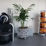 Appartement Avec Jardin Au Coeur De Rennes